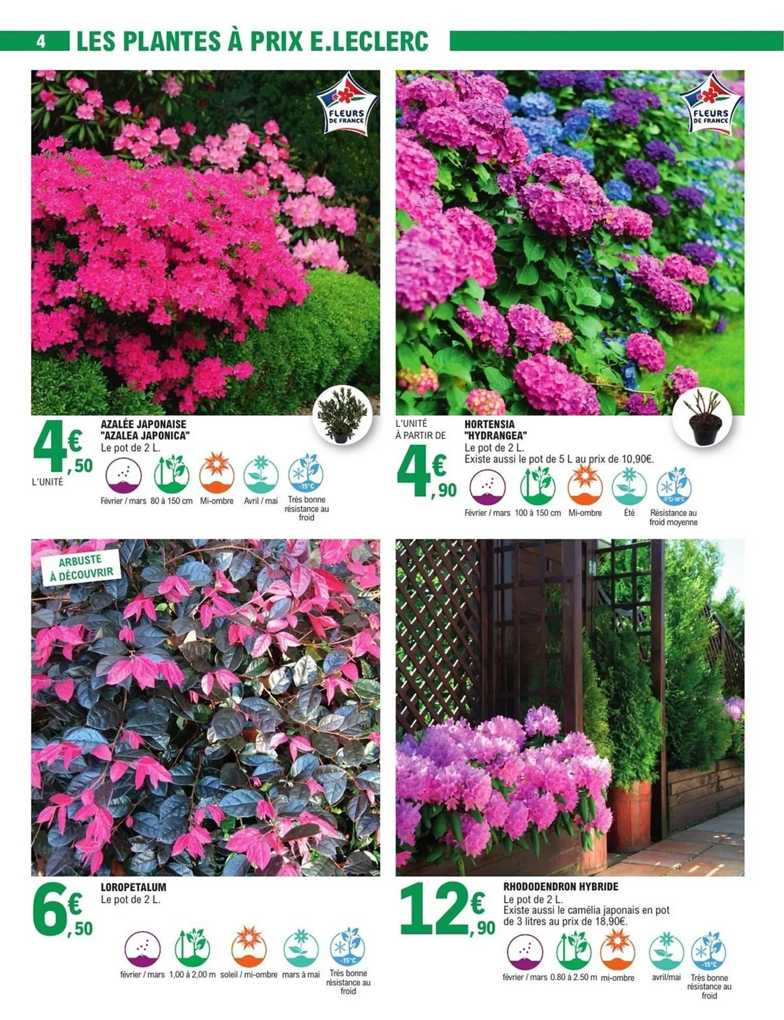 Catalogue E.Leclerc du 16 février au 28 février 2026 - Catalogue page 4