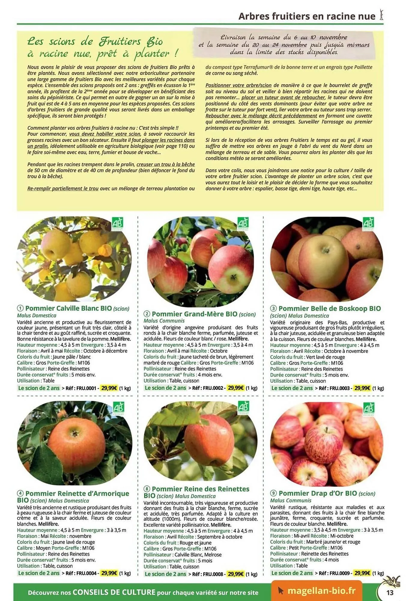 Catalogue Magellan du 16 décembre au 31 décembre 2025 - Catalogue page 13