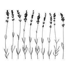 Sticker adhésif mural lavande 36x29cm