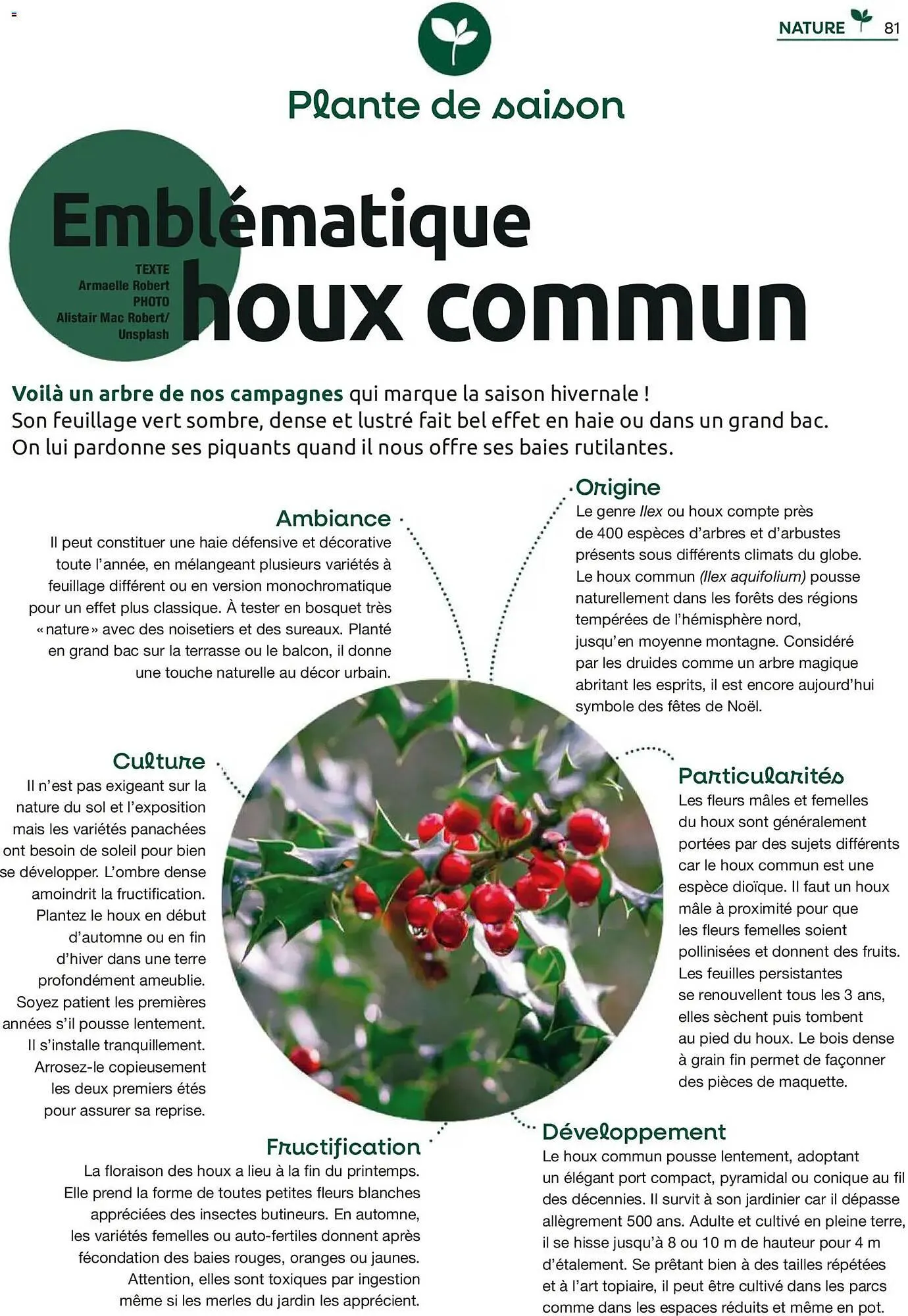 Catalogue Mr Bricolage du 1 décembre au 31 décembre 2025 - Catalogue page 81