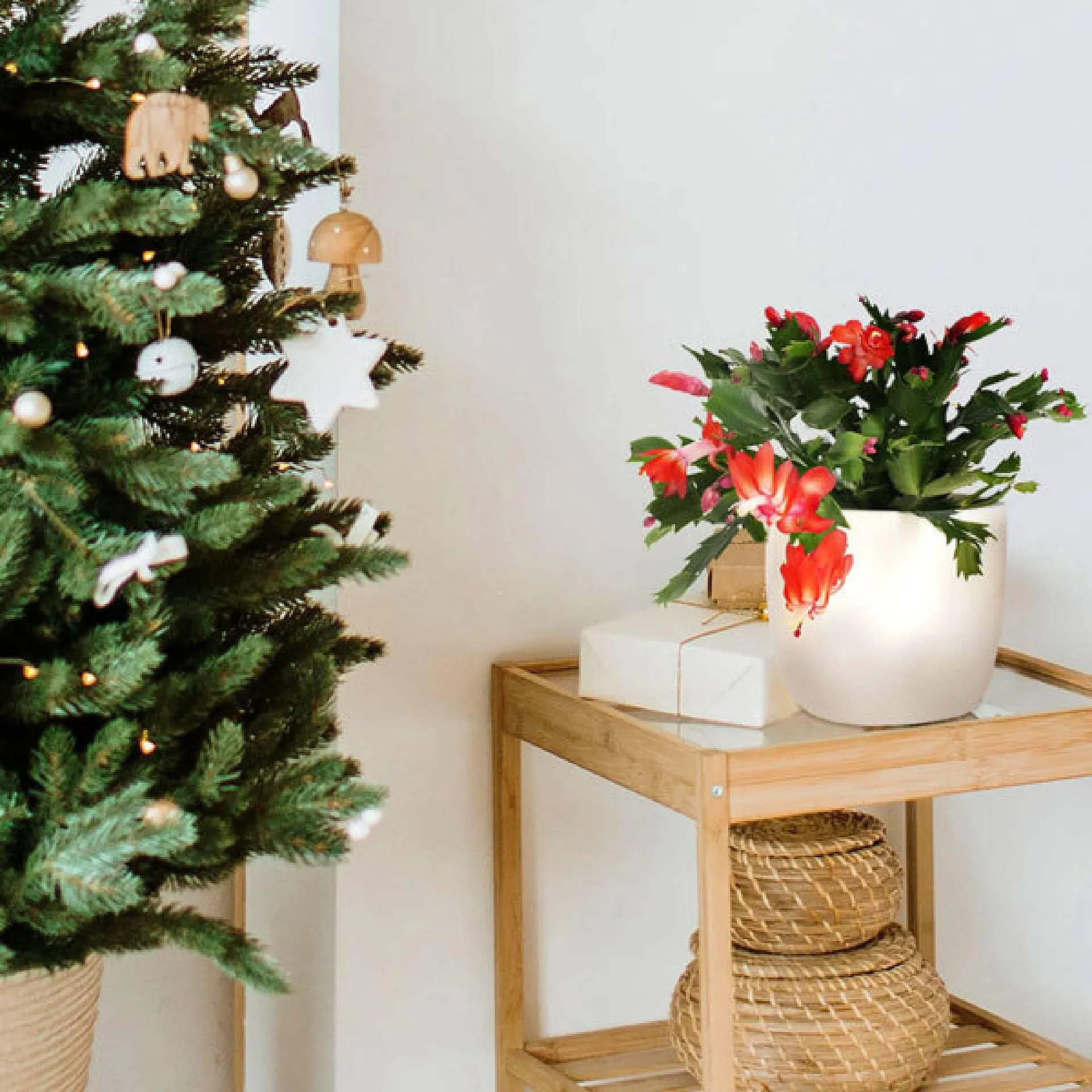 Catalogue Florajet - 1