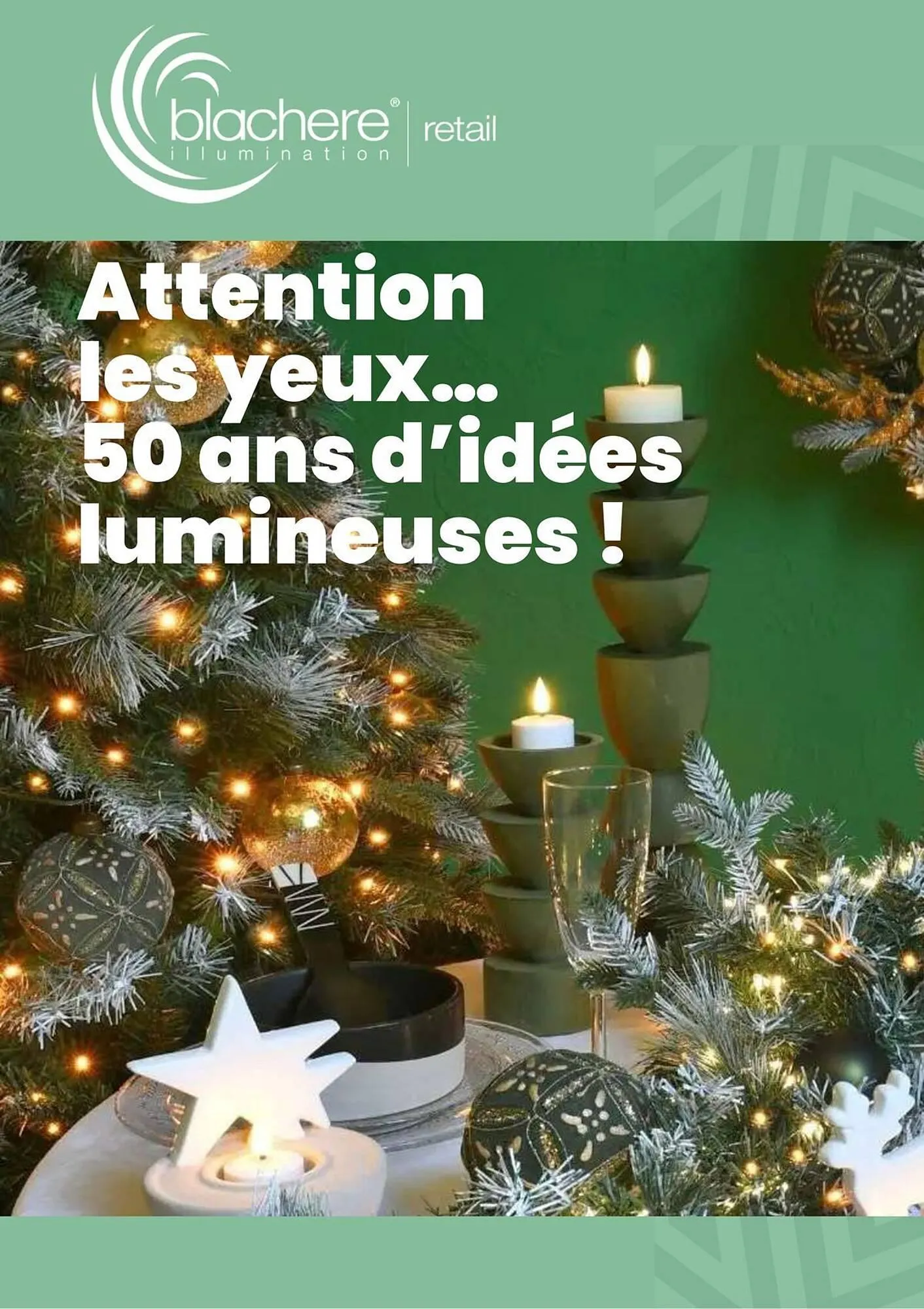 Catalogue Truffaut du 2 décembre au 31 décembre 2025 - Catalogue page 37