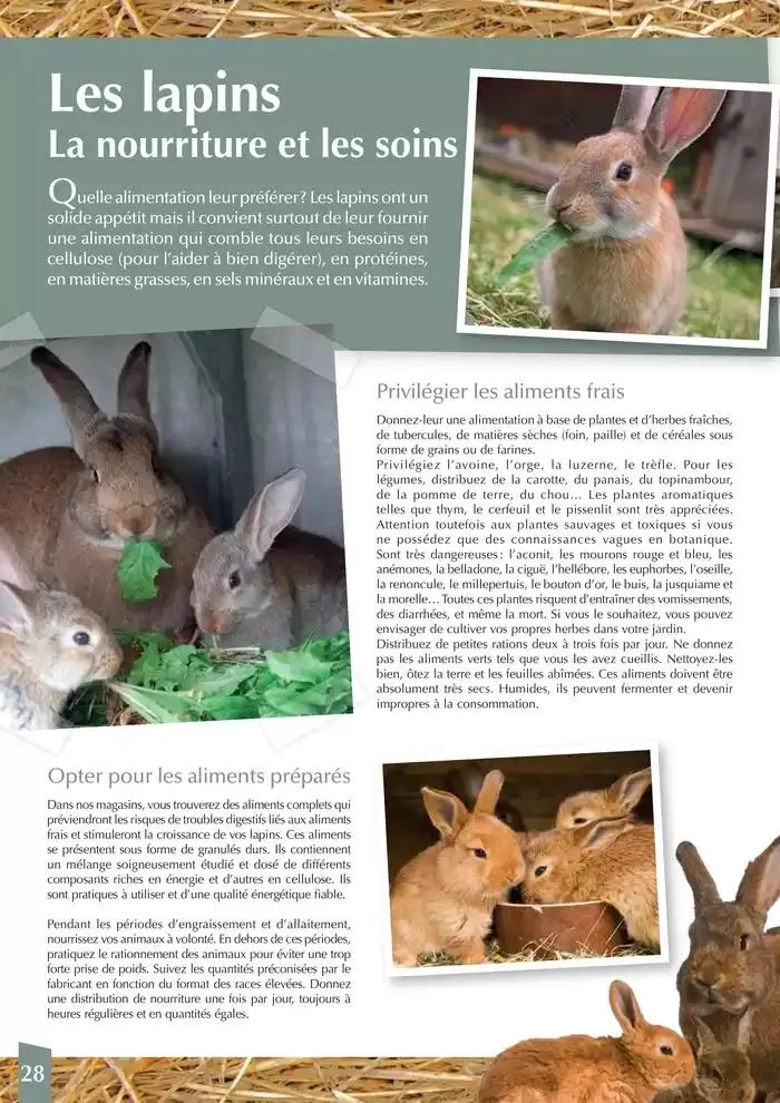 Le guide BASSE-COUR du 30 avril au 31 décembre 2025 - Catalogue page 28