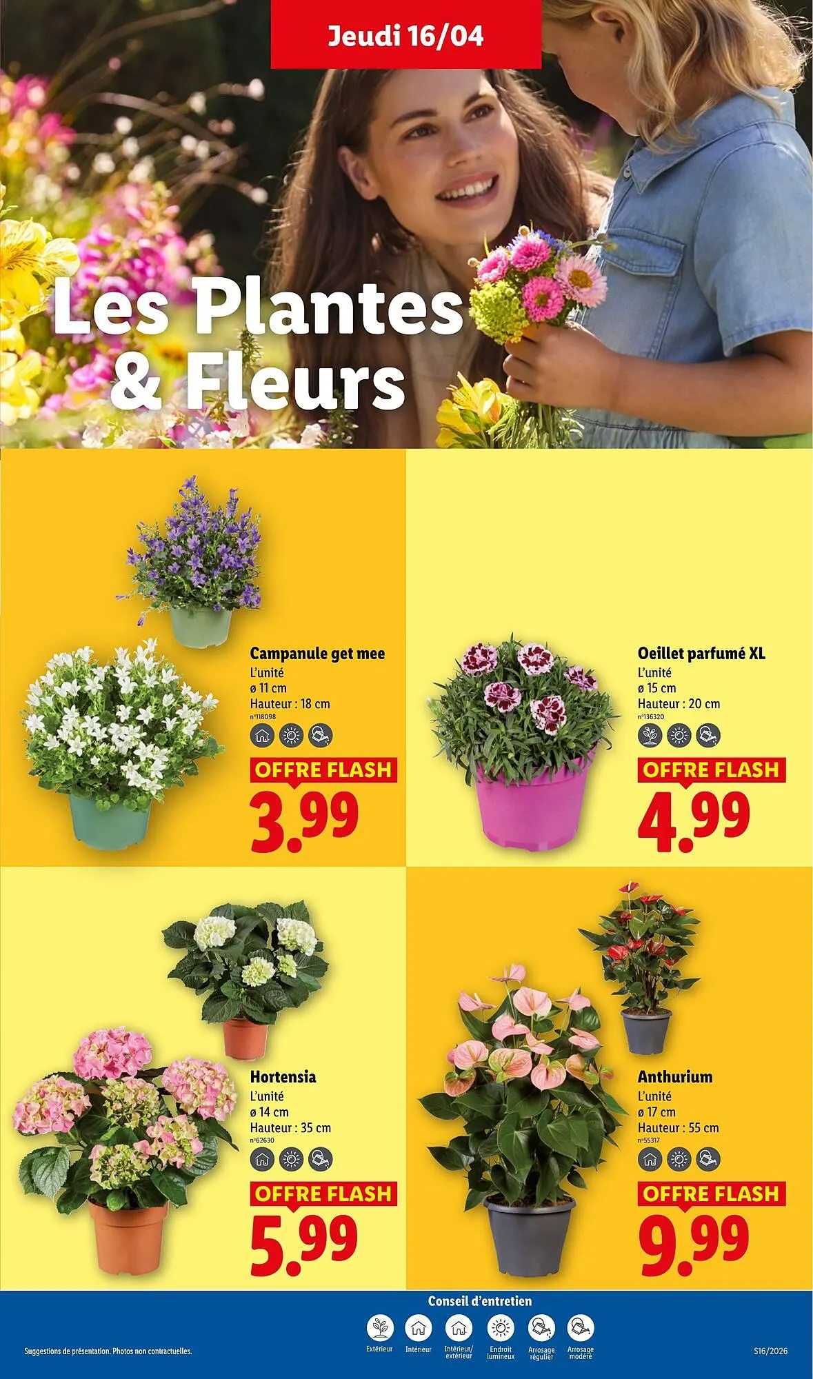 Catalogue Lidl du 16 avril au 22 avril 2026 - Catalogue page 25