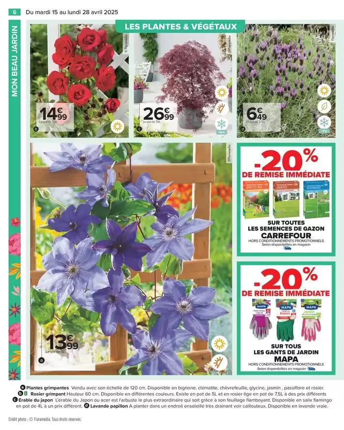 PROFITER ENFIN DE SON JARDIN du 15 avril au 28 avril 2025 - Catalogue page 6