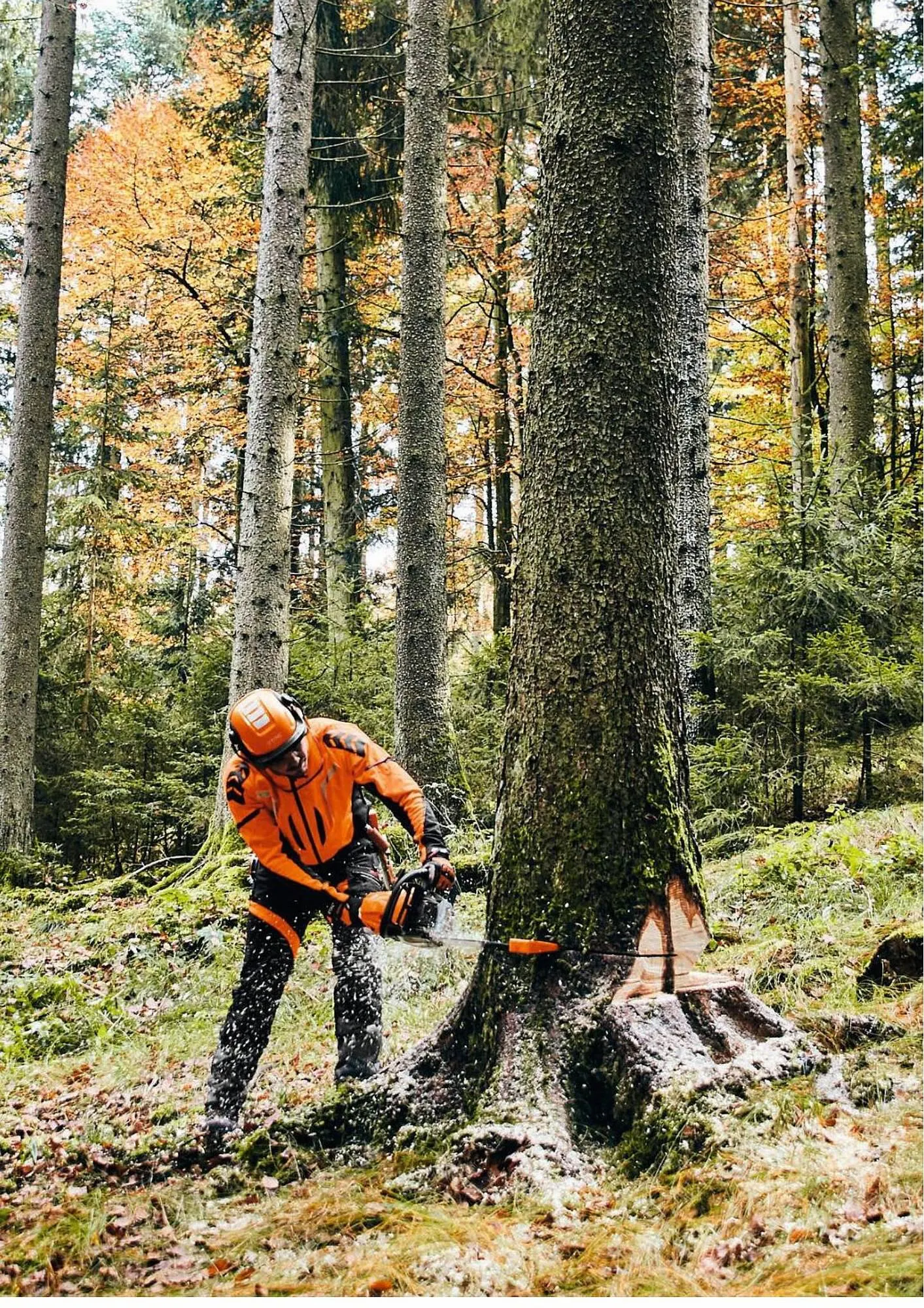 Catalogue Verts Loisirs du 3 août au 31 décembre 2023 - Catalogue page 78