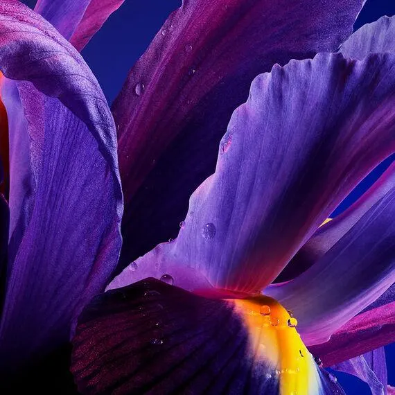 L’infiniment personnel