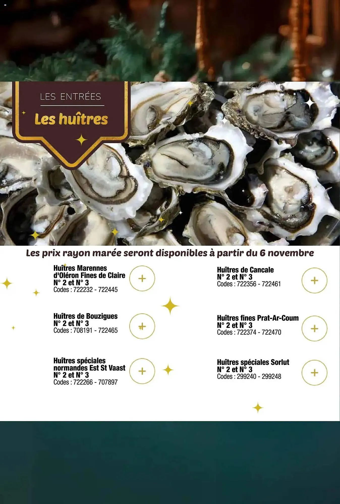 Catalogue Promocash du 1 décembre au 31 décembre 2025 - Catalogue page 16