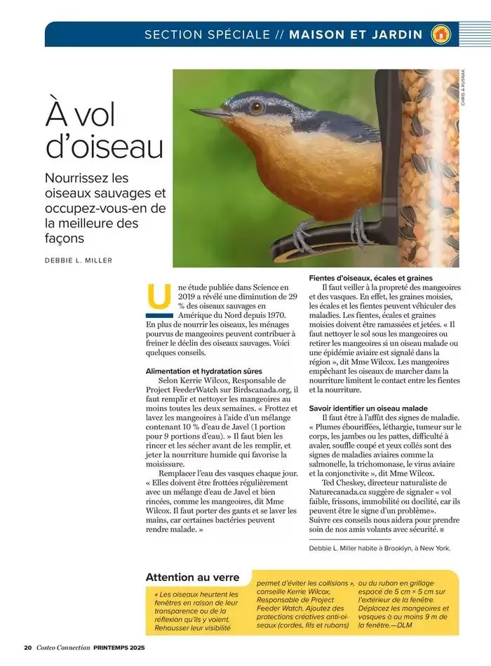 La main Verte du 12 mai au 31 décembre 2025 - Catalogue page 22