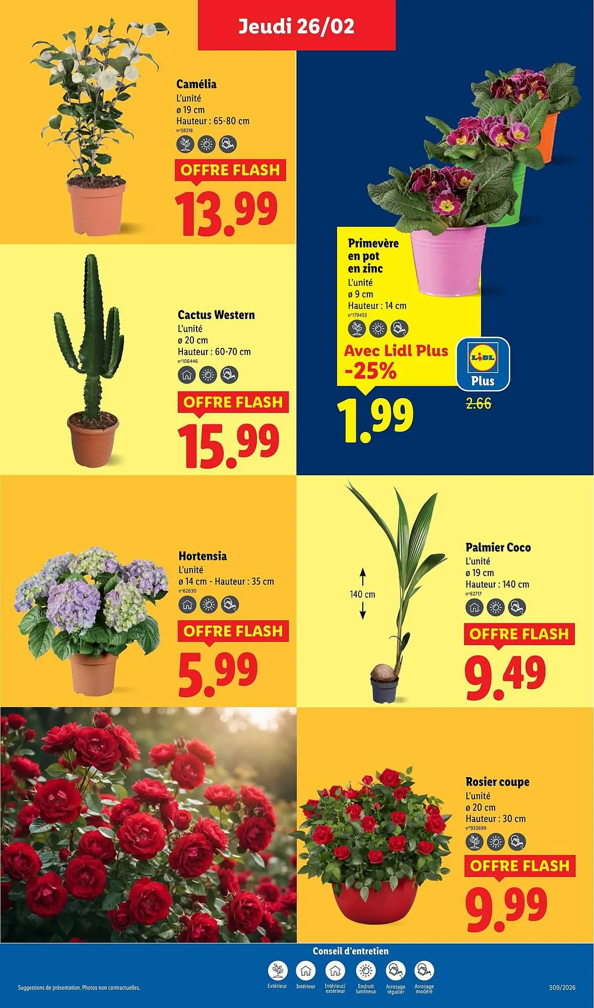 Catalogue Lidl du 26 février au 4 mars 2026 - Catalogue page 29