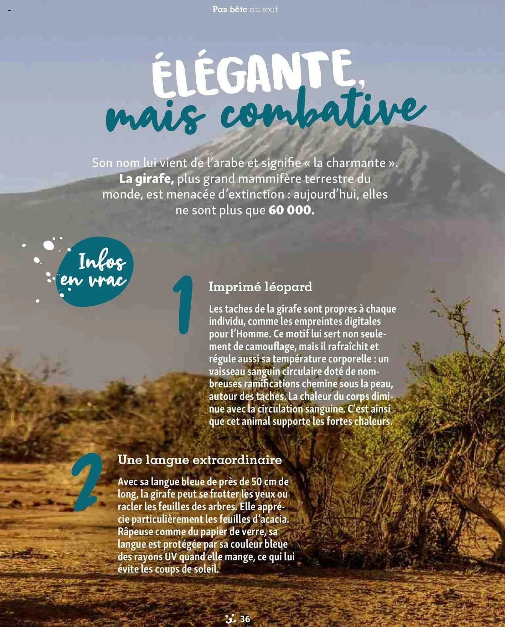 Catalogue Maxi Zoo du 1 septembre au 3 novembre 2024 - Catalogue page 36