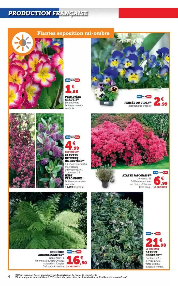 Spécial Jardin du 18 février au 16 mars 2025 - Catalogue page 4