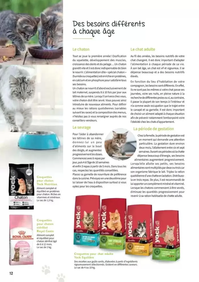 Le guide CHIENS & CHATS du 30 avril au 31 décembre 2025 - Catalogue page 12