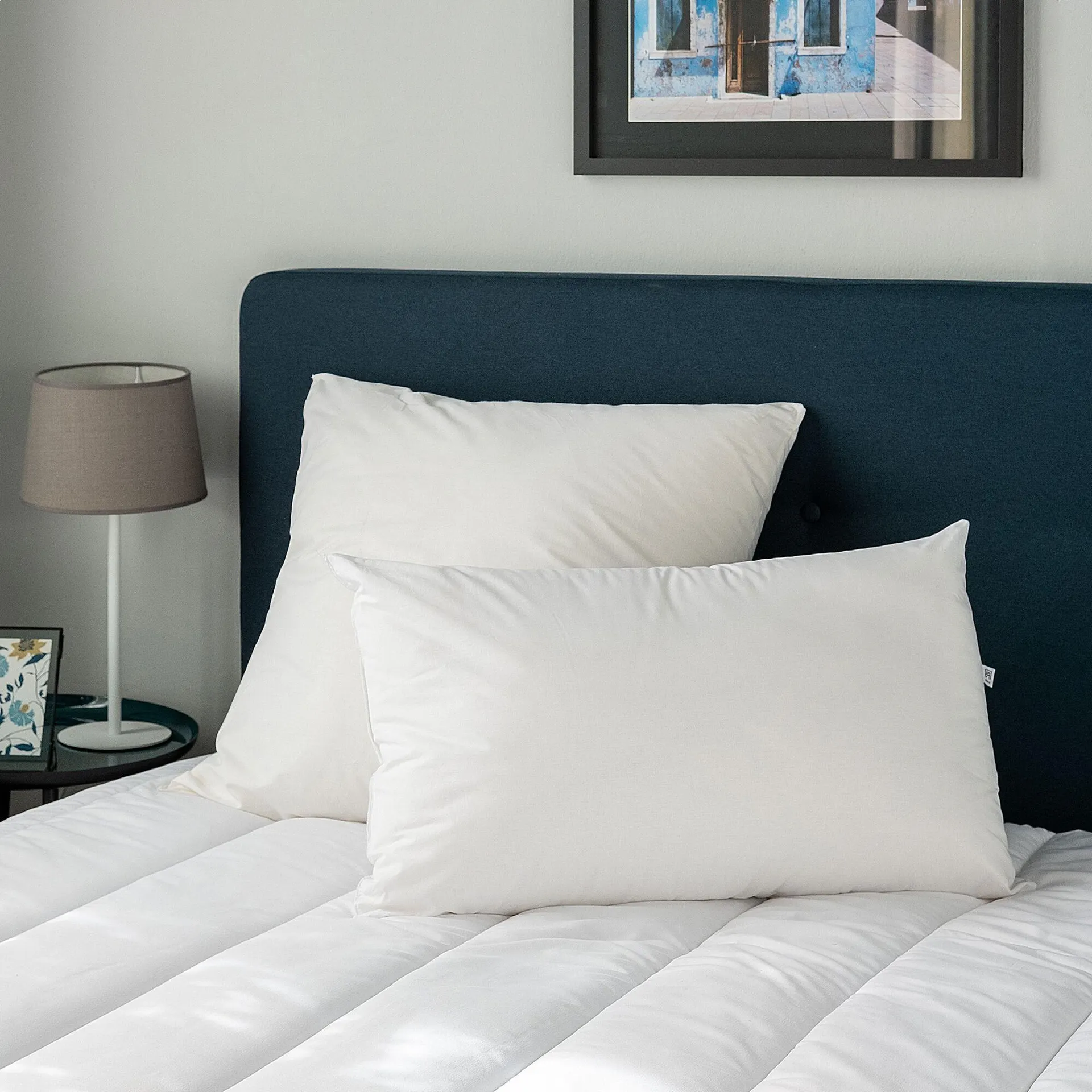 Oreiller moelleux en coton - 45x70cm