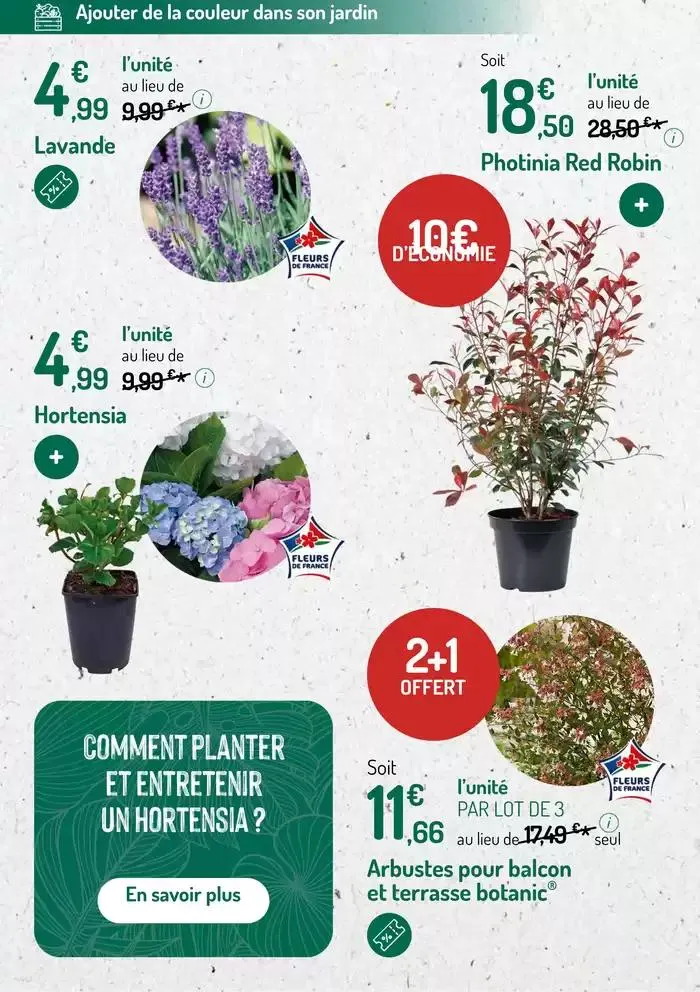 Promotions exceptionnelles du 12 mars au 25 mars 2025 - Catalogue page 10