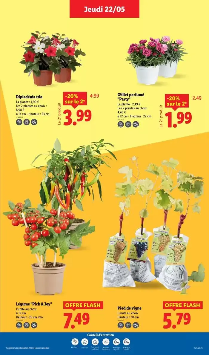 Faites votre plein de courses chez Lidl et profitez de nombreux produits à prix réduits ! du 22 mai au 28 mai 2025 - Catalogue page 33