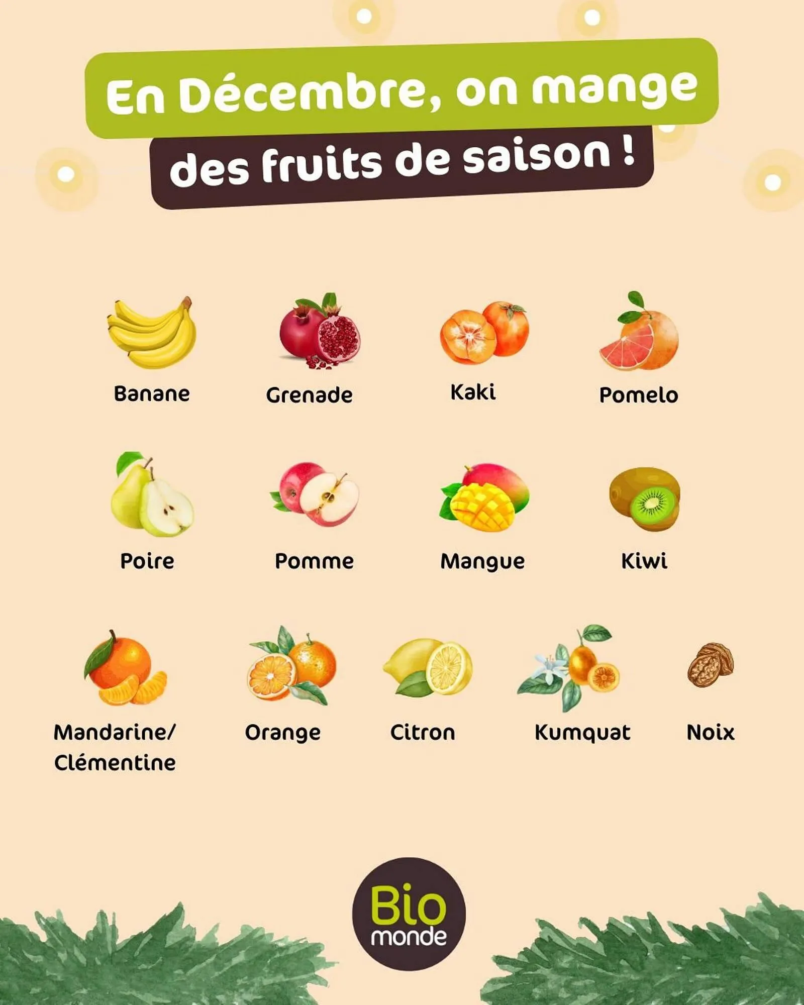 Catalogue Biomonde du 2 décembre au 31 décembre 2025 - Catalogue page 3