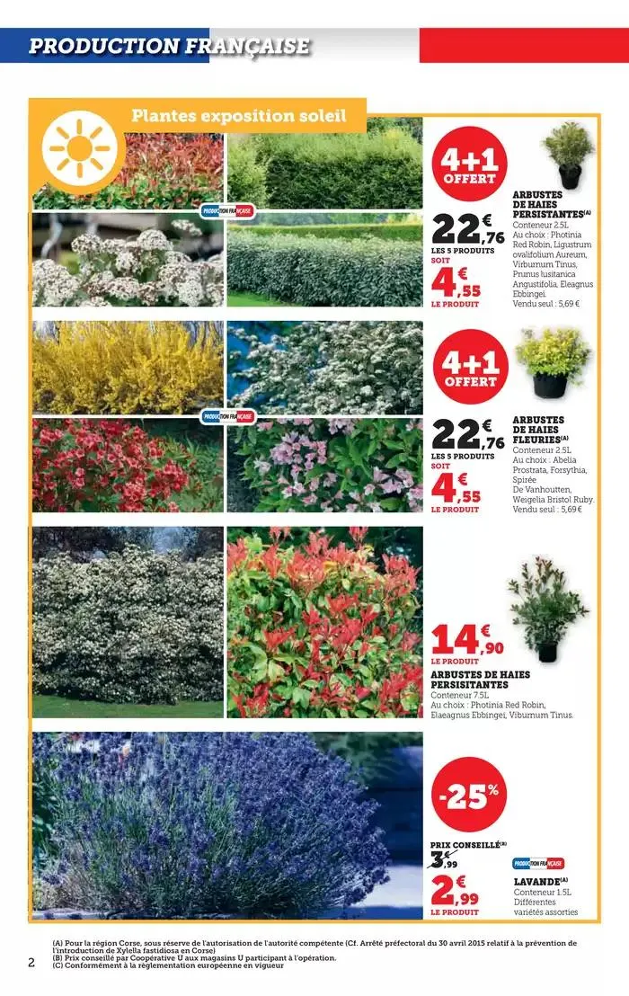 Spécial Jardin du 18 février au 16 mars 2025 - Catalogue page 2
