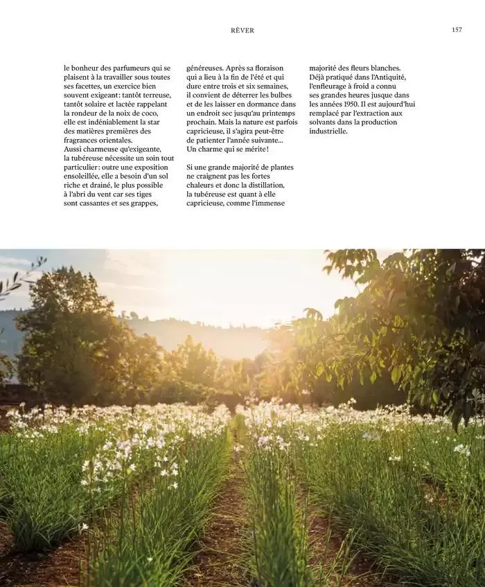 Printemps/Été 2025 du 17 mars au 23 septembre 2025 - Catalogue page 159