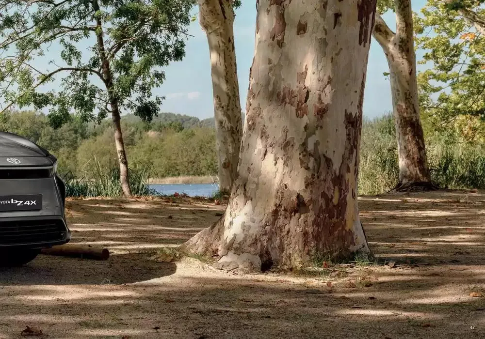 Toyota bZ4X du 24 octobre au 24 octobre 2025 - Catalogue page 47