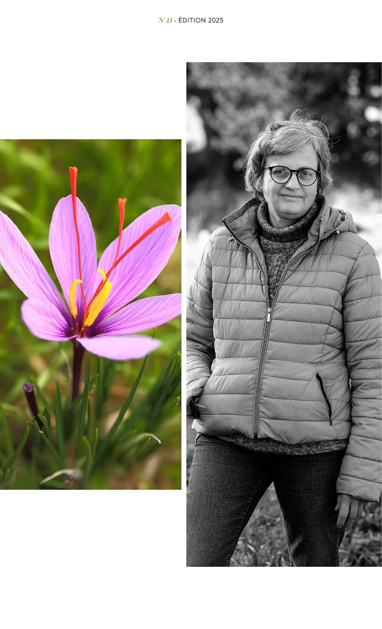 Catalogue METRO du 1 juillet au 31 décembre 2025 - Catalogue page 53