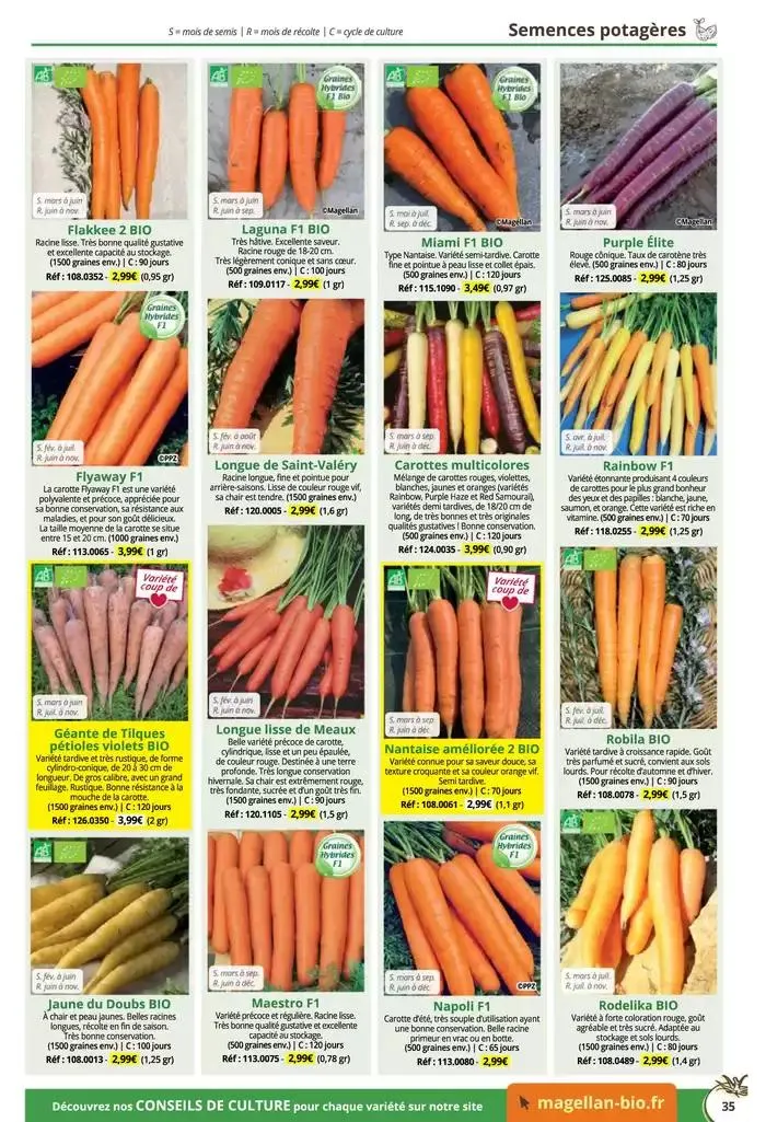 Catalogue Général 2025 du 16 décembre au 31 décembre 2025 - Catalogue page 35