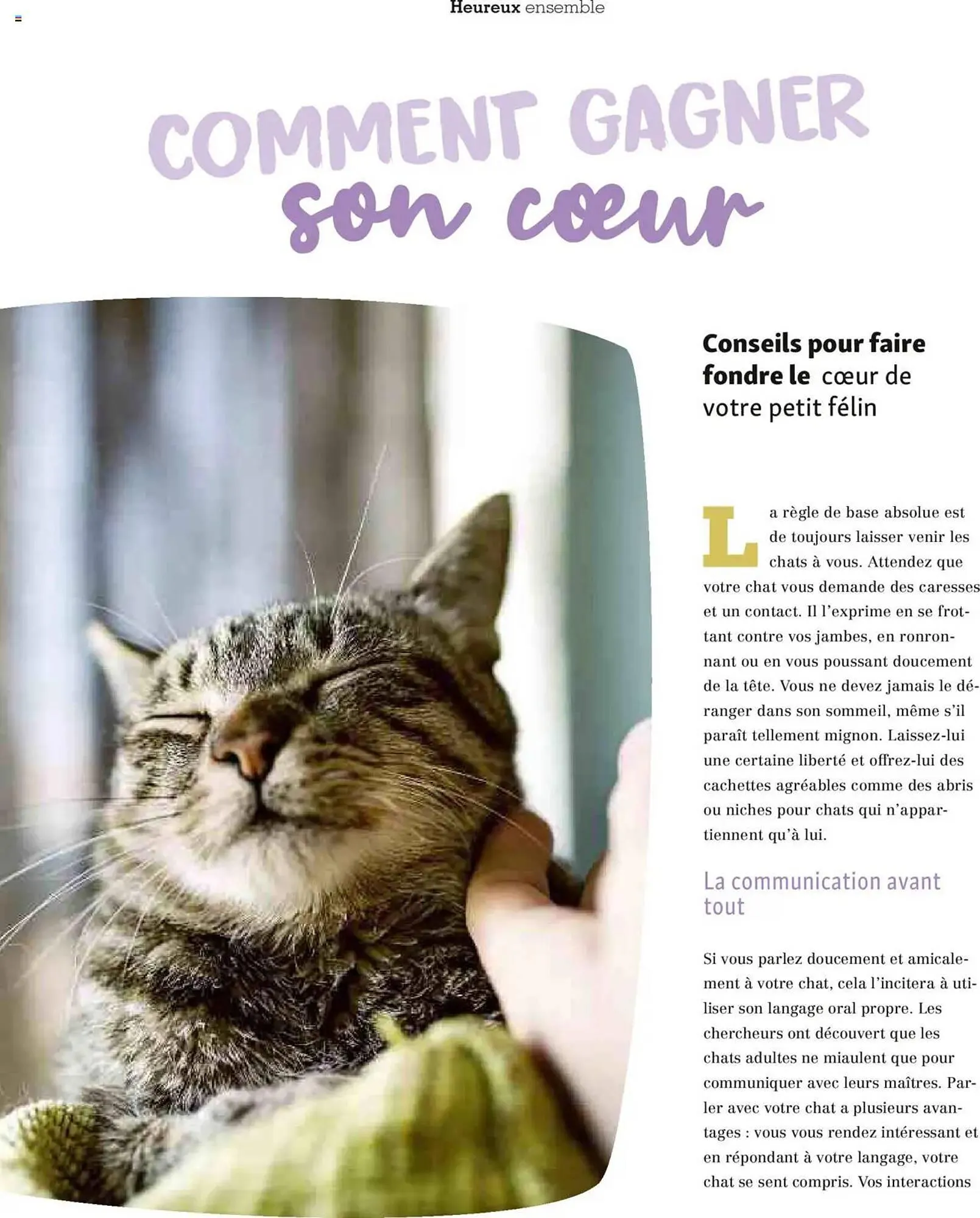 Catalogue Maxi Zoo du 1 octobre au 20 novembre 2025 - Catalogue page 40