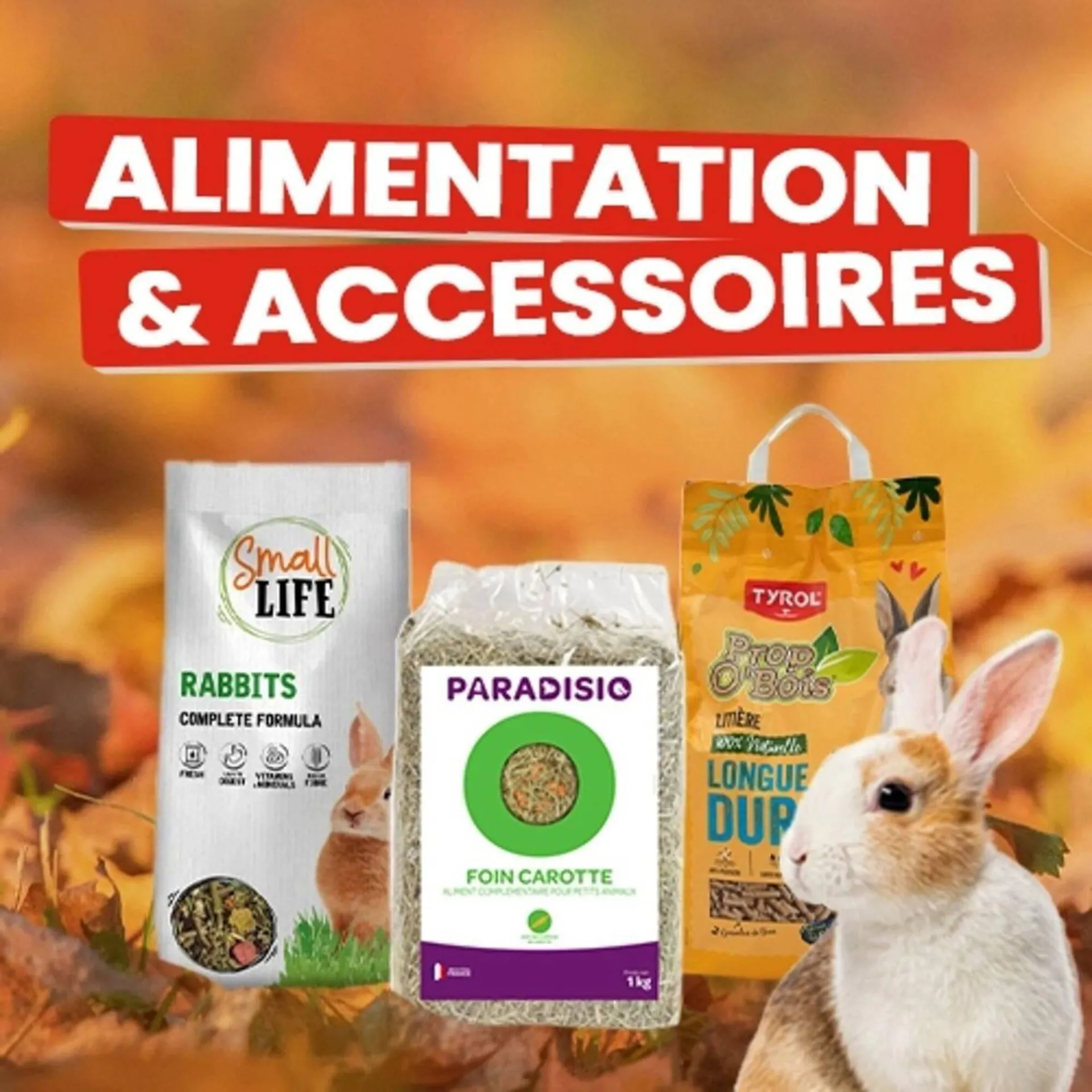 Catalogue Animalis du 5 novembre au 19 novembre 2025 - Catalogue page 4