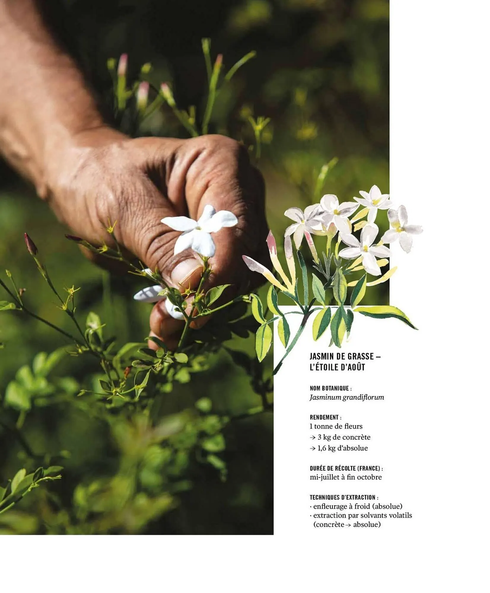 Catalogue Fragonard du 9 mars au 20 septembre 2026 - Catalogue page 12