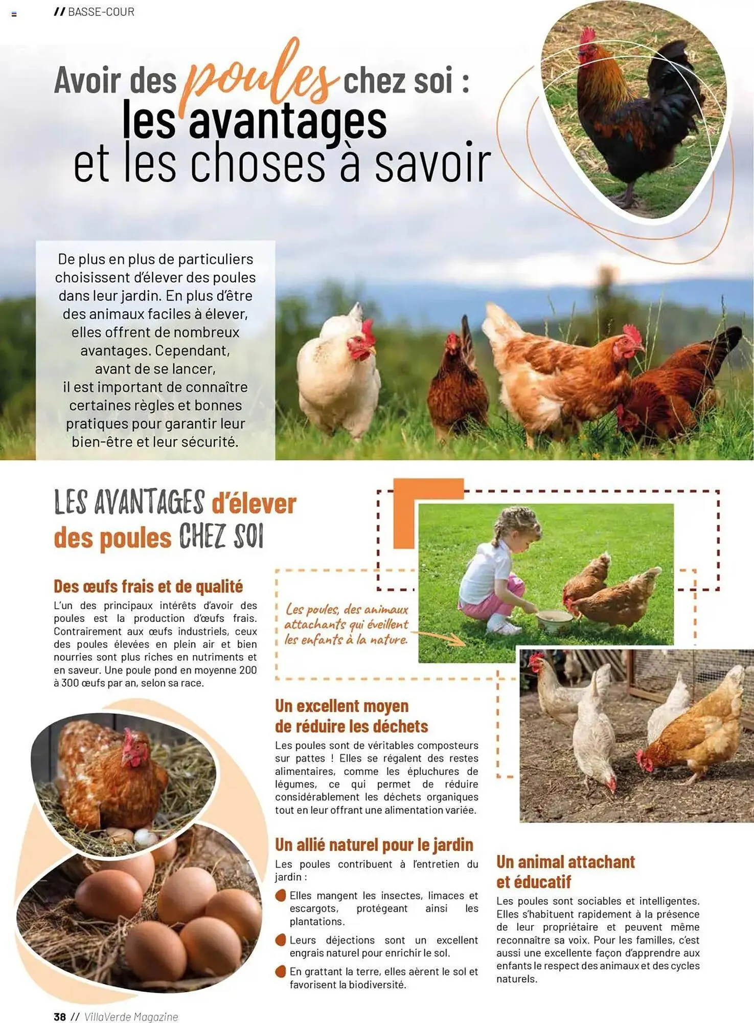 Catalogue VillaVerde du 20 mai au 1 janvier 2026 - Catalogue page 142