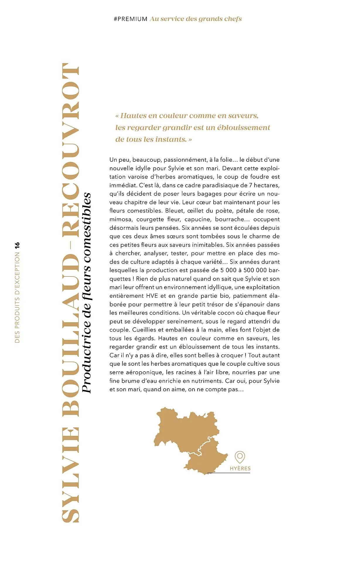 Catalogue METRO du 1 juillet au 31 décembre 2025 - Catalogue page 16
