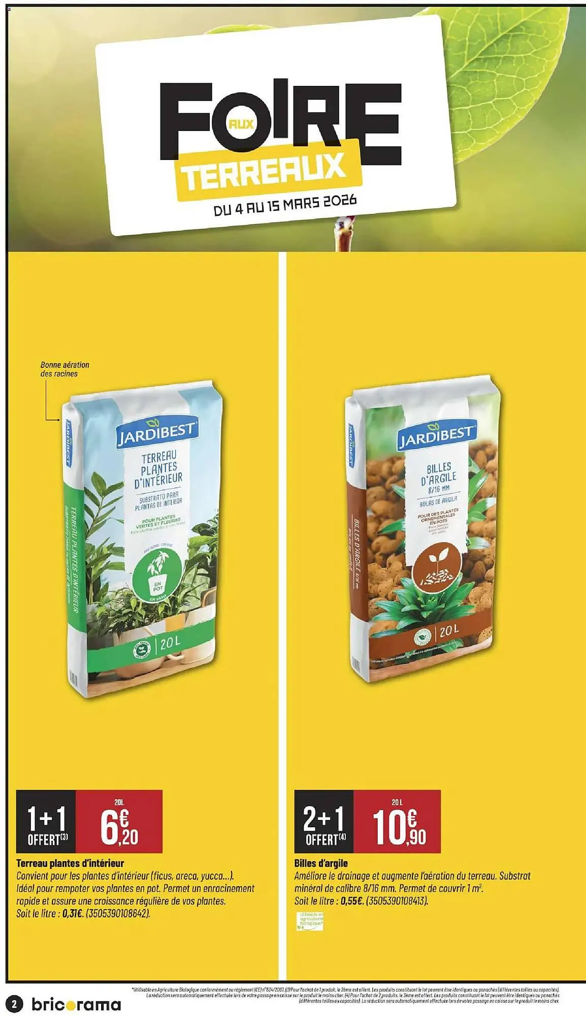 Catalogue Bricorama du 4 mars au 15 mars 2026 - Catalogue page 2