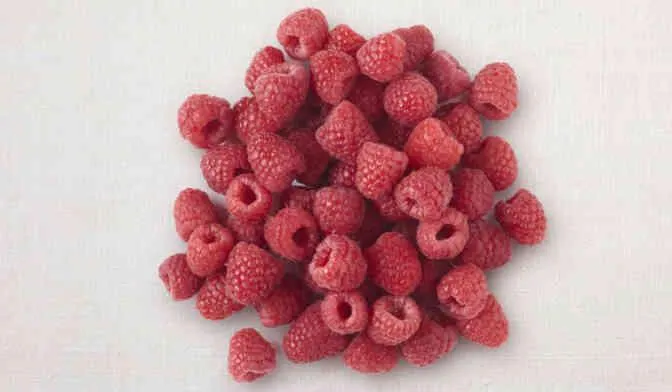 Framboise entière bio, UE et non UE