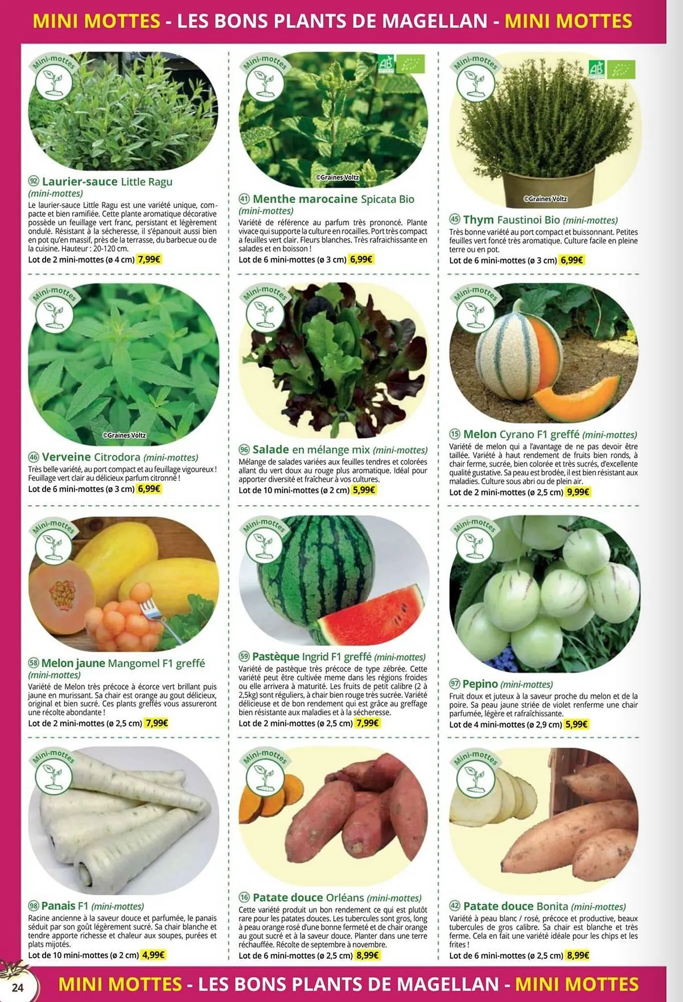 Catalogue Magellan du 1 janvier au 31 décembre 2026 - Catalogue page 24