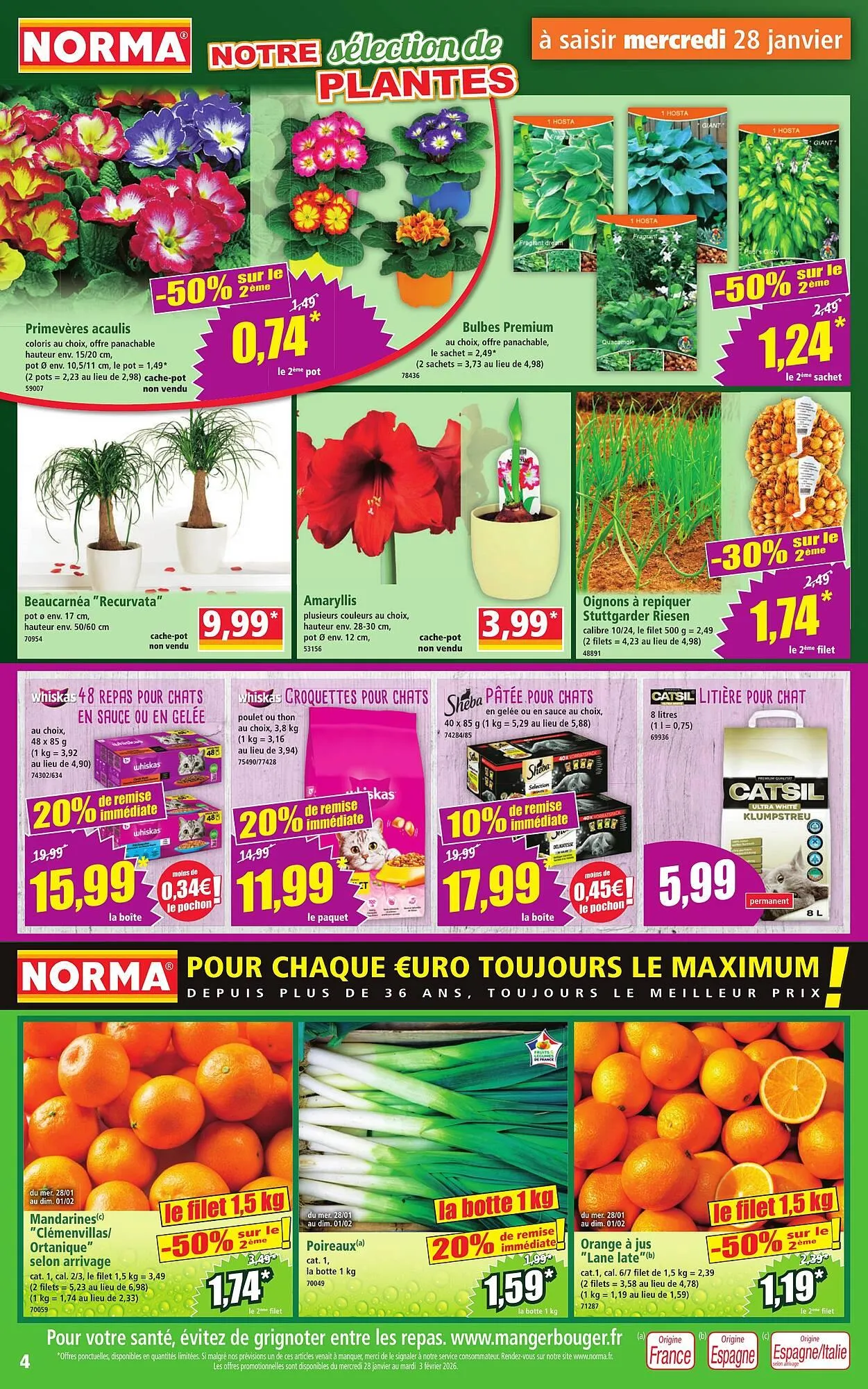 Catalogue Norma du 28 janvier au 3 février 2026 - Catalogue page 4