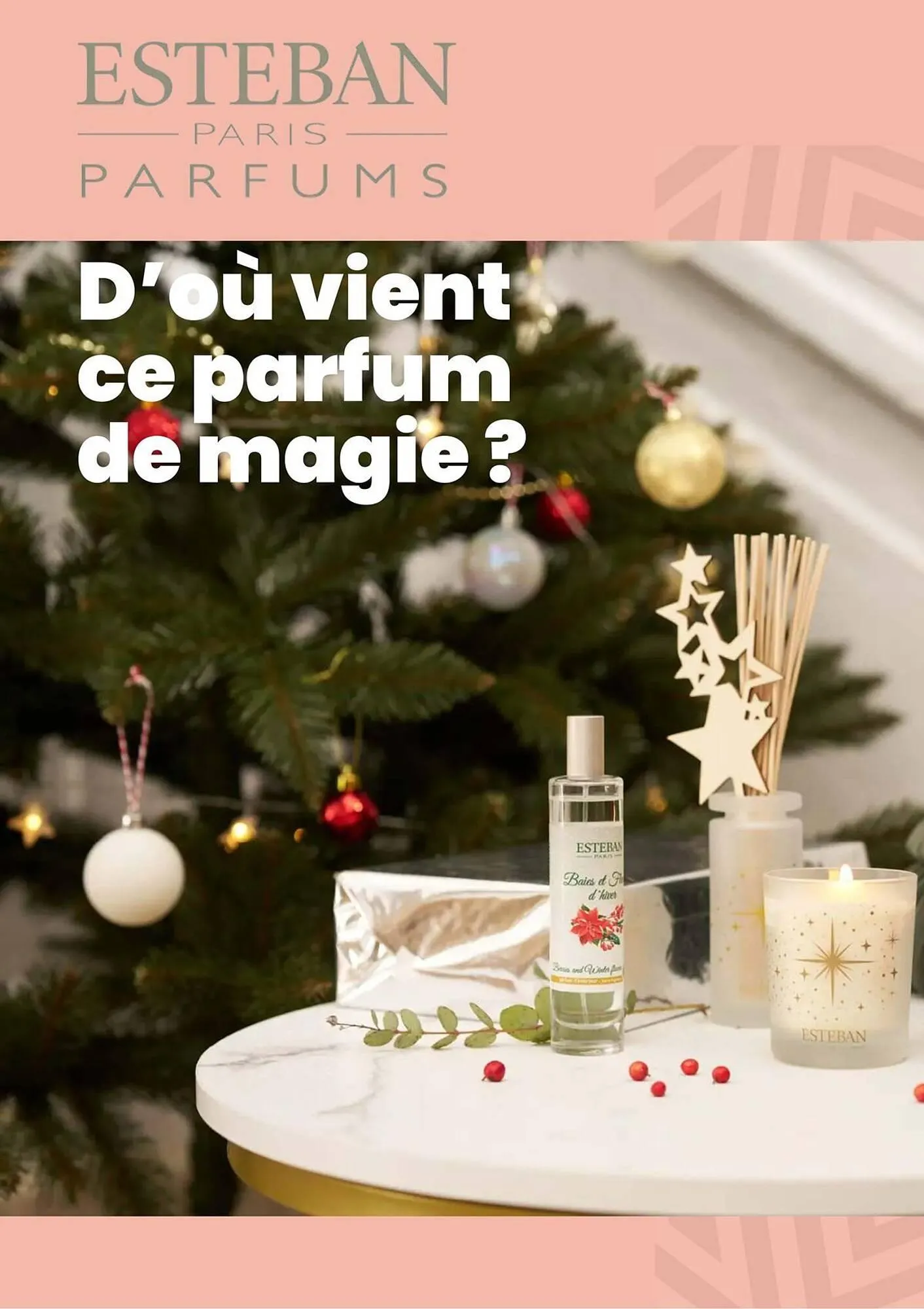 Catalogue Truffaut du 2 décembre au 31 décembre 2025 - Catalogue page 47