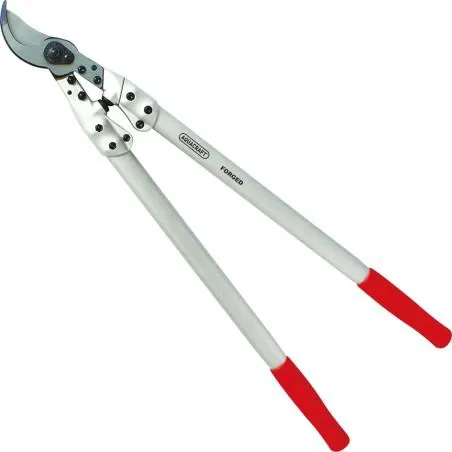 ÉBRANCHEUR PROFESSIONNEL - AQUACRAFT