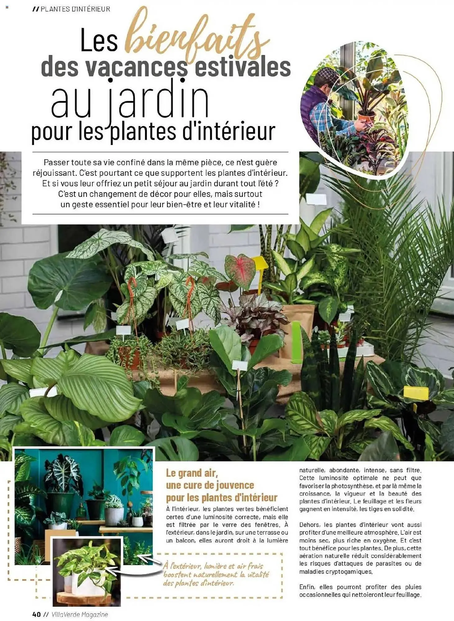 Catalogue VillaVerde du 1 avril au 30 septembre 2026 - Catalogue page 40
