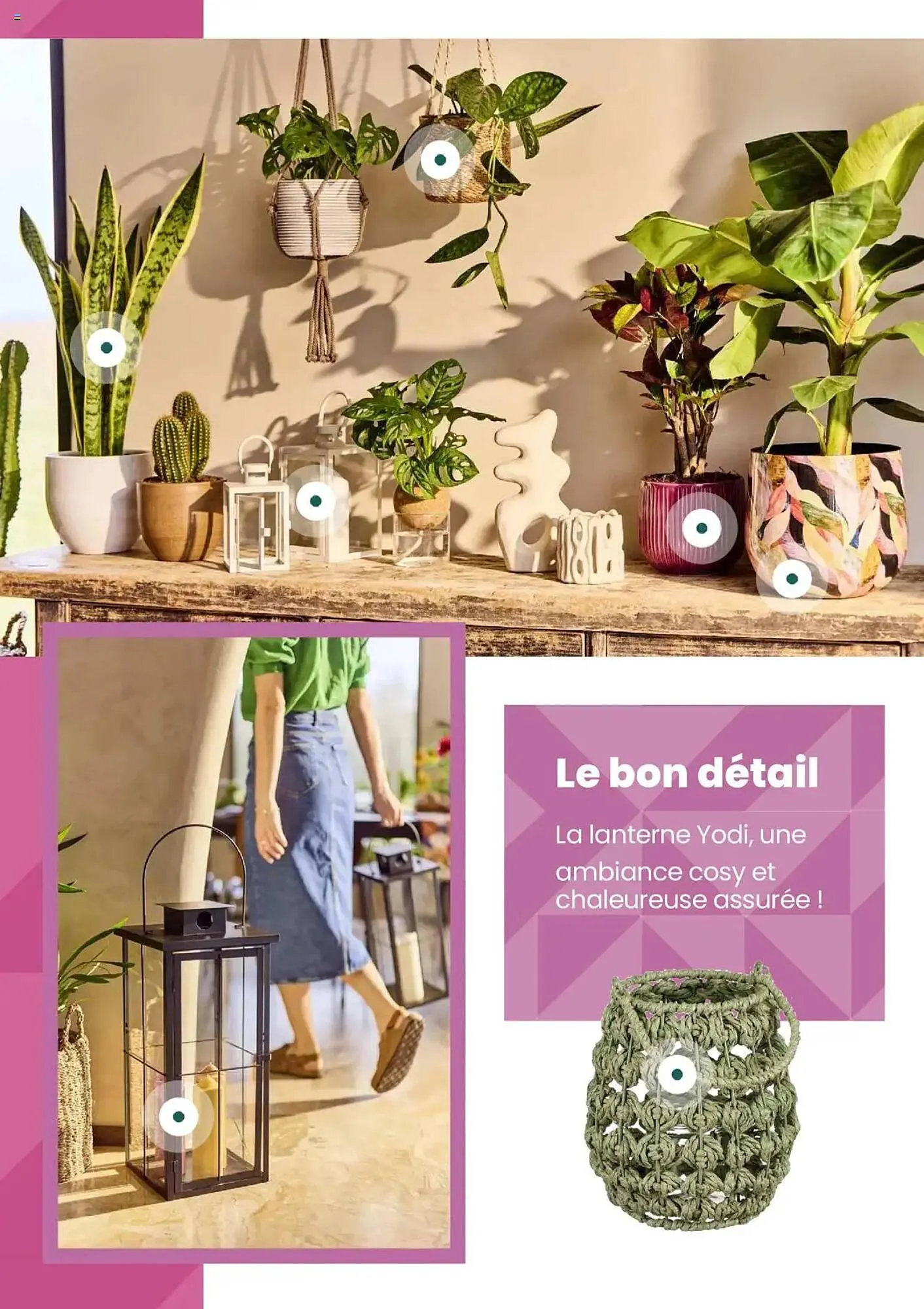 Catalogue Truffaut du 7 mai au 31 juillet 2025 - Catalogue page 21