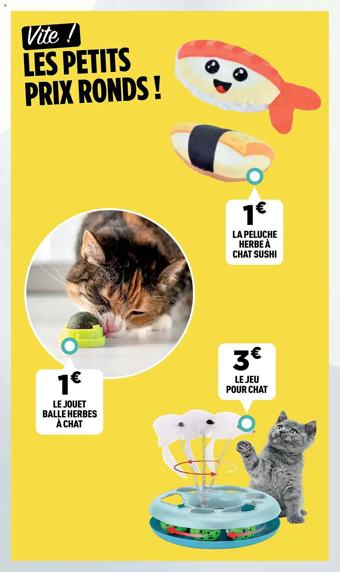 Catalogue Centrakor du 29 décembre au 11 janvier 2026 - Catalogue page 51