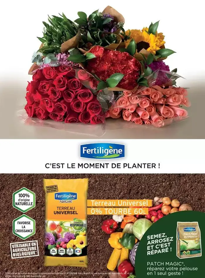 La main Verte du 12 mai au 31 décembre 2025 - Catalogue page 83