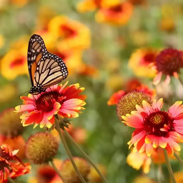 Catalogue Supeco du 28 mars au 5 avril 2025 - Catalogue page 6