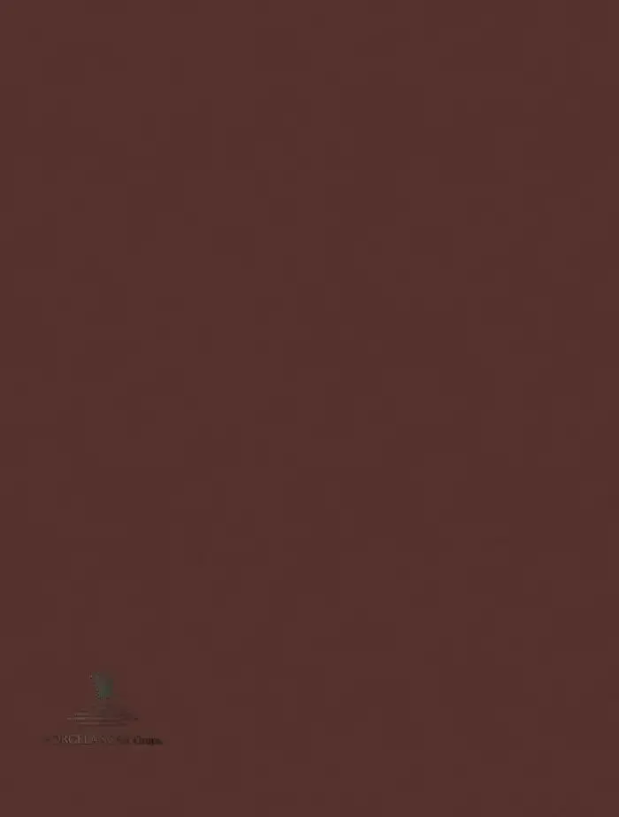 Catálogo de Ceramic Book 2025 6 de febrero al 31 de diciembre 2025 - Página 267