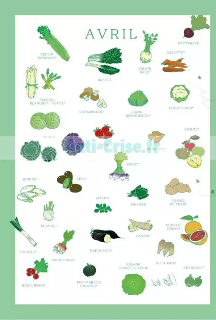 Mars - Avril 2025 du 5 mars au 30 avril 2025 - Catalogue page 31