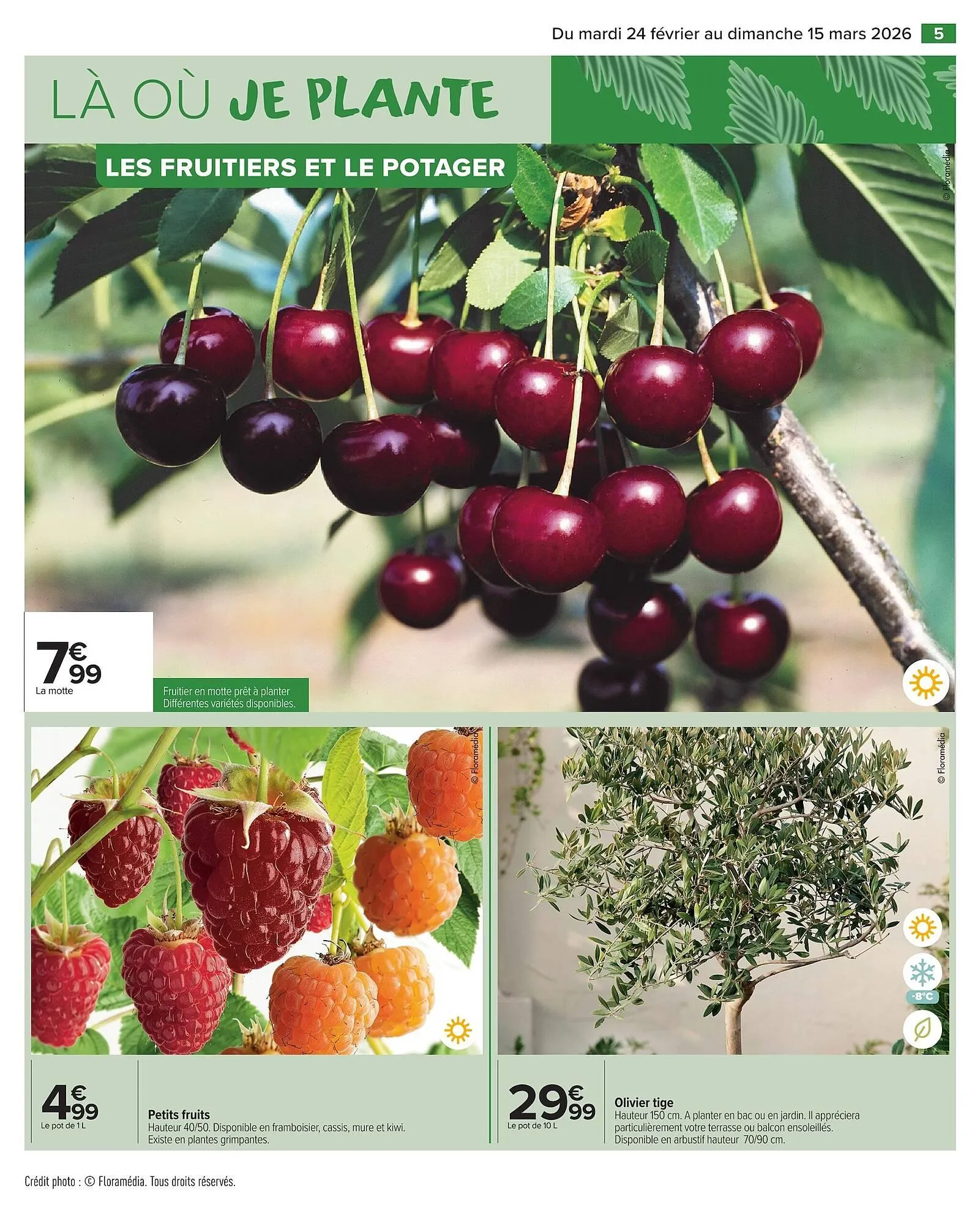 Catalogue Carrefour Market du 24 février au 15 mars 2026 - Catalogue page 7