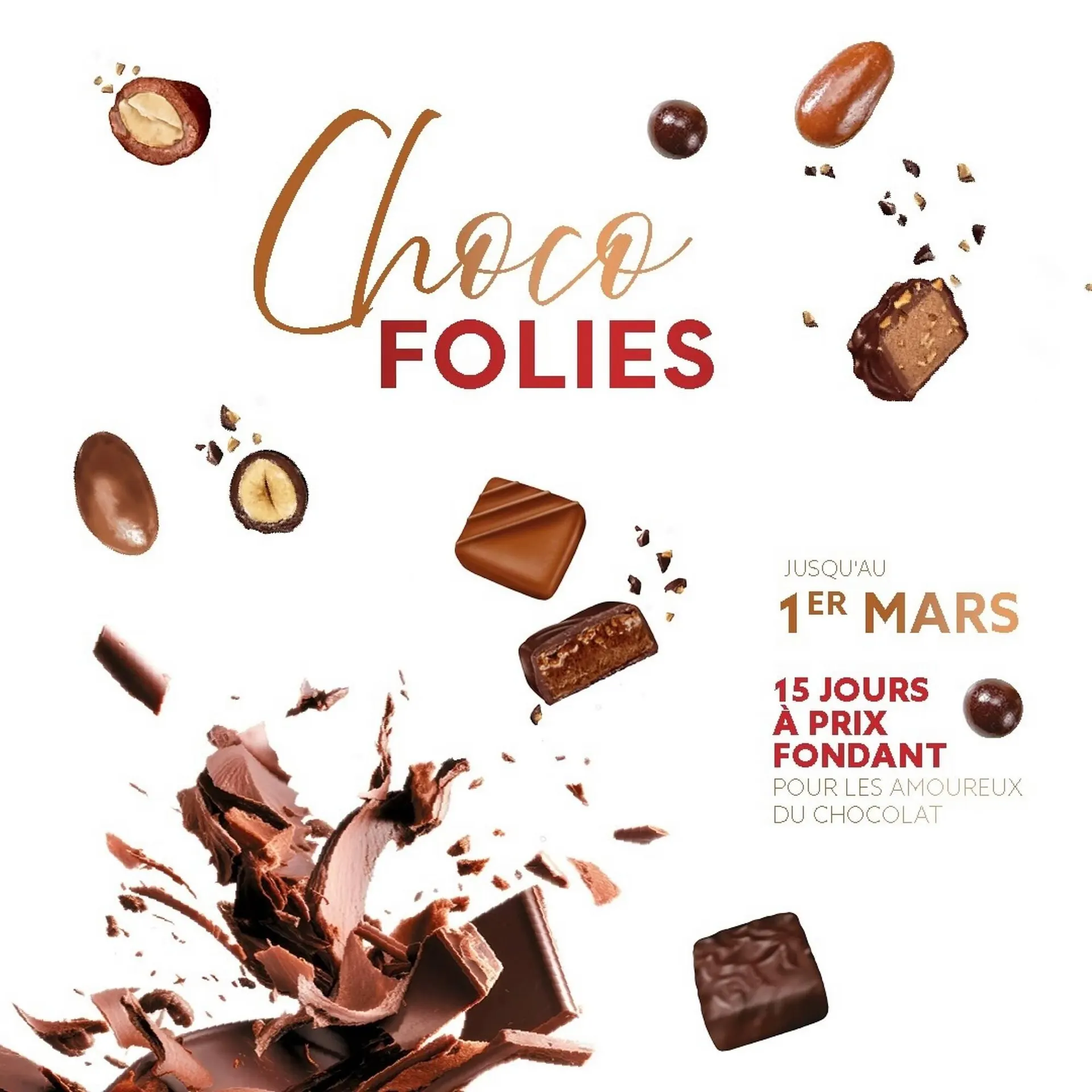 Catalogue Voisin - 1