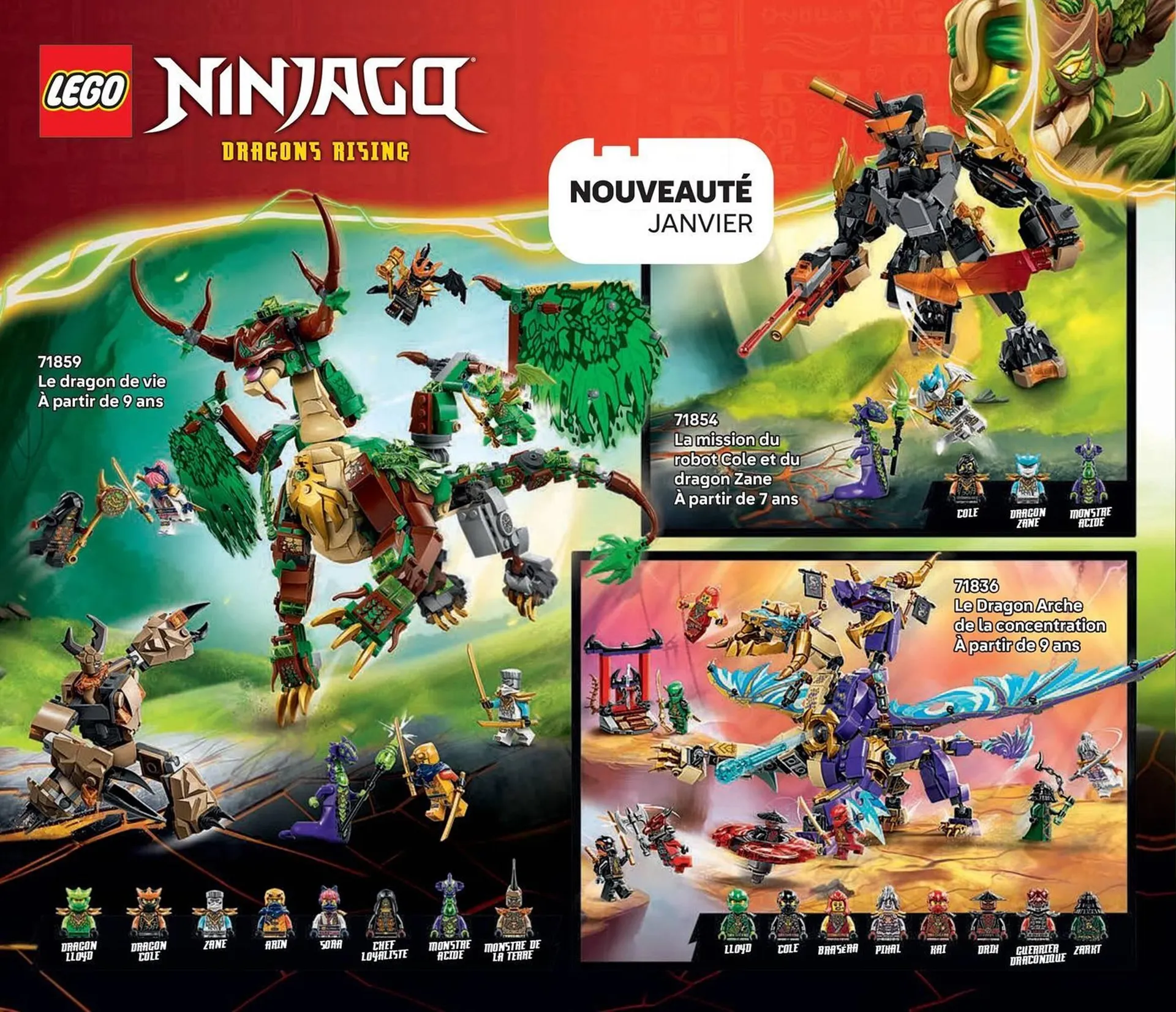 Catalogue LEGO du 9 janvier au 30 juin 2026 - Catalogue page 46