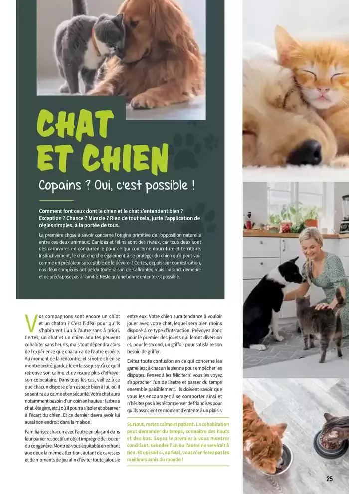 Le guide CHIENS & CHATS du 30 avril au 31 décembre 2025 - Catalogue page 25
