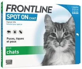 SPOT-ON CHAT FRONTLINE