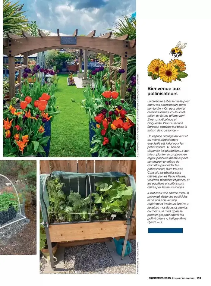 La main Verte du 12 mai au 31 décembre 2025 - Catalogue page 105